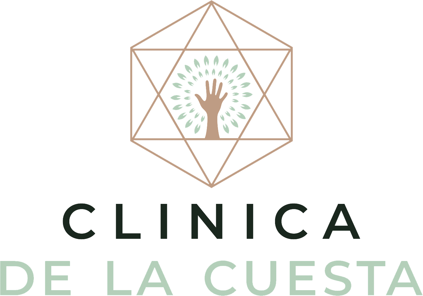 Clínica de la Cuesta